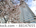 Skyscrapers and cherry blossoms looking up from below 88147655