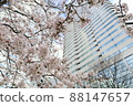 Skyscrapers and cherry blossoms looking up from below 88147657