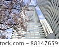 Skyscrapers and cherry blossoms looking up from below 88147659
