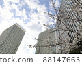 Skyscrapers and cherry blossoms looking up from below 88147663