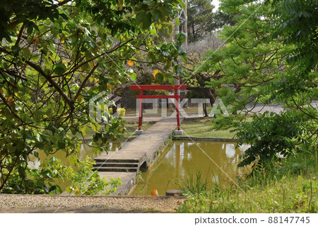 Torii of Shukei Pond in Onoyama Park Torii of Shukei Pond in Onoyama Park 88147745