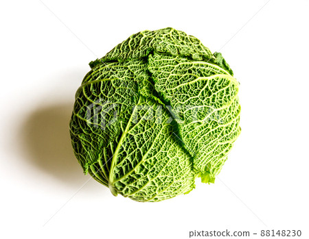 Savoy cabbage isolated on a white background 88148230
