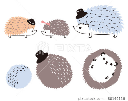 Fashionable hedgehog set in various poses 88149116