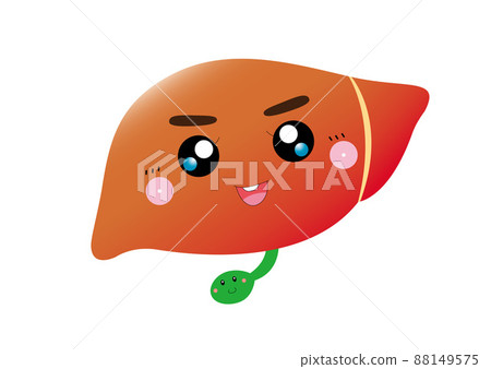 肝臟/槓桿 肝臟/槓桿 88149575
