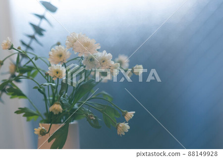 Hazy white flower Hazy white flower 88149928