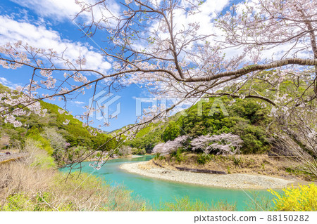 Koza河在春天 Koza河在春天 88150282