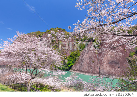 Koza River in spring 88150364