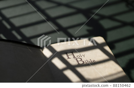 Holy Bible 88150462