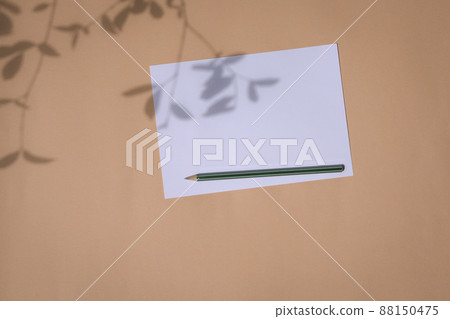 Blank greeting card with foliage shadow, on beige tabletop. 88150475