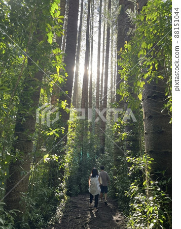 負離子 負離子 88151044