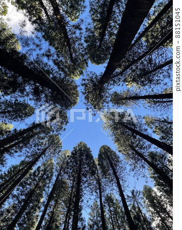 讓我們面朝上 讓我們面朝上 88151045