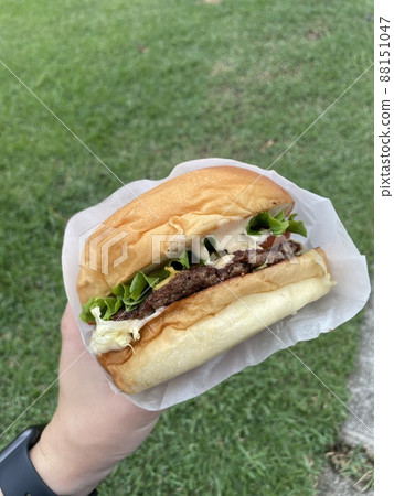 用漢堡包野餐 88151047