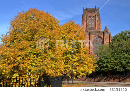 Liverpool, England (UK) Liverpool Cathedral with huge Gothic architecture and colored leaves on the street corner 88151330