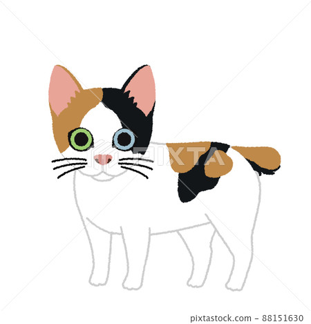 Japanese bobtail cat illustration Japanese bobtail cat illustration 88151630