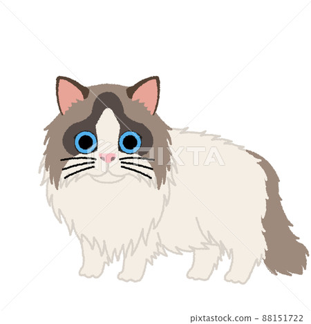 Ragdoll cat illustration Ragdoll cat illustration 88151722