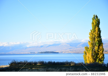 Tekapo Autumn 88151946