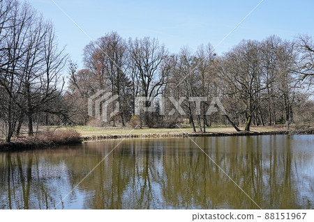 Woodland reflected in waters of pond in Pszczyna town in Poland 88151967