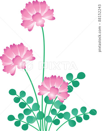 Lotus herb Lotus herb 88152243
