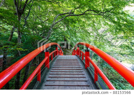 伊香保溫泉湯澤川上的梶賀橋（群馬縣澀川市） 88153566
