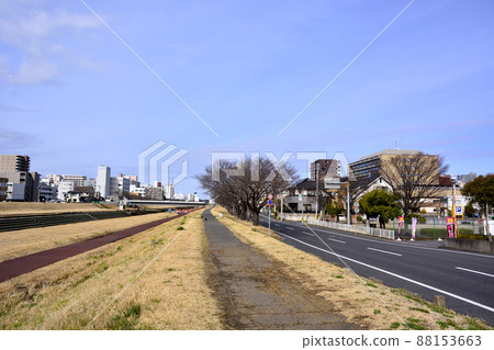 茨城縣水戶市櫻川沿線的街景 88153663
