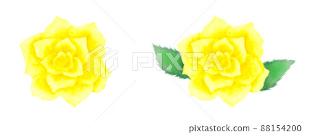 Yellow rose flower set illustration with a rose with leaves Yellow rose flower set illustration with a rose with leaves 88154200