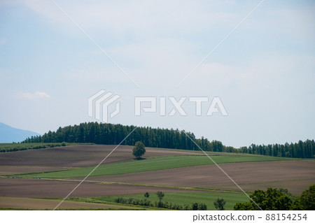 Spring upland field and blue sky Spring upland field and blue sky 88154254