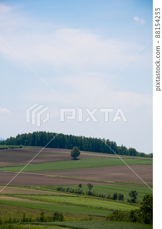 Spring upland field and blue sky Spring upland field and blue sky 88154255
