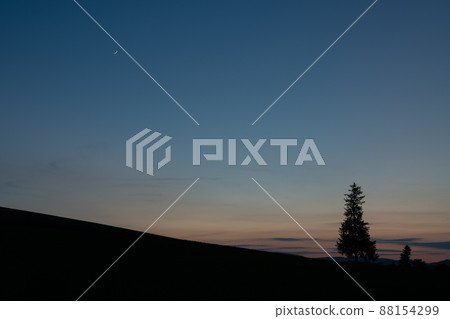 Biei-cho, a pine tree standing in the dusk sky and fields Biei-cho, a pine tree standing in the dusk sky and fields 88154299