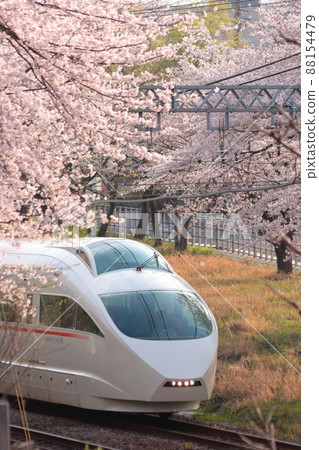 Odakyu Romance Car VSE_2010 / 4/6 shooting running through the tunnel of cherry blossoms in full bloom 88154479
