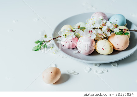 Colored Easter eggs and blooming tree branch on the gray plate with flower petals on the white table. Happy Easter and springtime card. Minimalism and simplicity. Selective focus. Copy space. 88155024