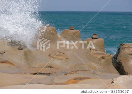 野柳 野柳 88155067