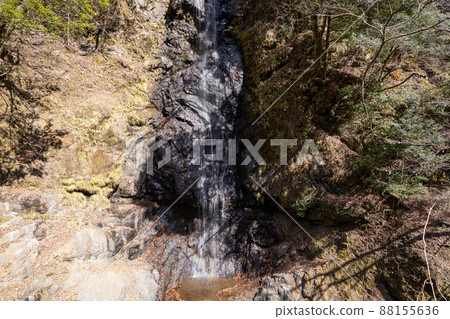 [Yamanashi Prefecture] Hagoromo Shiraito Falls 88155636