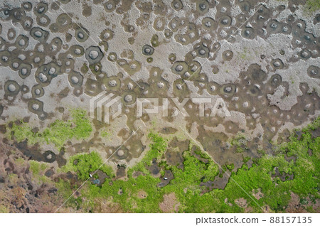 Mudflats of Venetian Lagoon, Italy. Natural texture, aerial view 88157135
