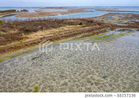 Shallow shore of Torcello island, Italy with mudflats and salt marsh Shallow shore of Torcello island, Italy with mudflats and salt marsh 88157136