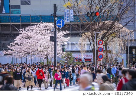 Japan's Tokyo cityscape has been lifted to prevent spread, but the 6 waves still continue in the corona wreck ... Sakura is in full bloom in Shibuya ... = March 28 88157340