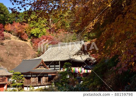 岡寺（Okadera）的秋景 88159798