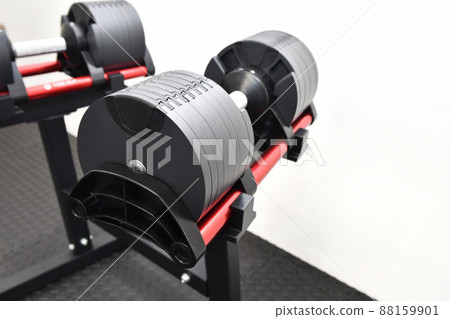 Dumbbells for strength training 88159901