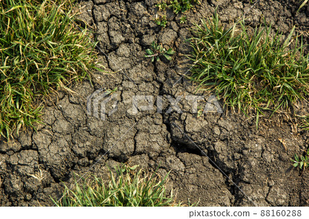 Cracks on the ground during a drought in summer 88160288