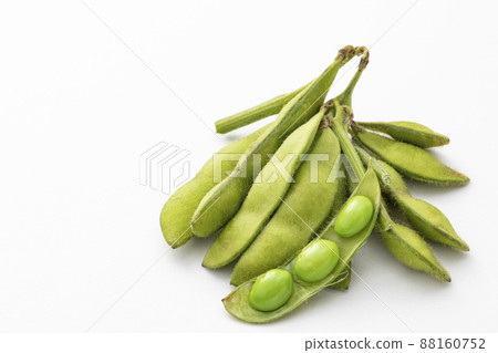 Green soybeans with stems Green soybeans with stems 88160752