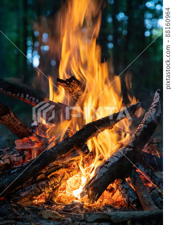Burning fire. The bonfire burns in the forest. Texture of burning fire. Bonfire for cooking in the forest. Burning dry branches. Tourist fire in the forest. Texture of burning branches 88160964