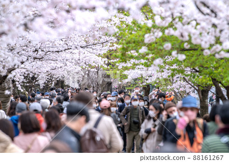 Tokyo cityscape in Japan Chidorigafuchi, where the cherry blossoms are in full bloom and crowded with many cherry blossom viewing visitors, even the elderly ... = March 28 Tokyo cityscape in Japan Chidorigafuchi, where the cherry blossoms are in full bloom and crowded with many cherry blossom viewing visitors, even the elderly ... = March 28 88161267