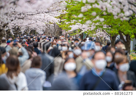Tokyo cityscape in Japan Chidorigafuchi, where the cherry blossoms are in full bloom and crowded with many cherry blossom viewing visitors, even the elderly ... = March 28 88161273