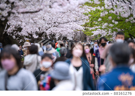 Tokyo cityscape in Japan Chidorigafuchi, where the cherry blossoms are in full bloom and crowded with many cherry blossom viewing visitors, even the elderly ... = March 28 Tokyo cityscape in Japan Chidorigafuchi, where the cherry blossoms are in full bloom and crowded with many cherry blossom viewing visitors, even the elderly ... = March 28 88161276