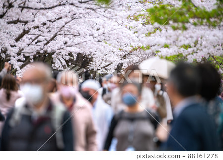 Tokyo cityscape in Japan Chidorigafuchi, where the cherry blossoms are in full bloom and crowded with many cherry blossom viewing visitors, even the elderly ... = March 28 Tokyo cityscape in Japan Chidorigafuchi, where the cherry blossoms are in full bloom and crowded with many cherry blossom viewing visitors, even the elderly ... = March 28 88161278