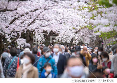 Tokyo cityscape in Japan Chidorigafuchi, where the cherry blossoms are in full bloom and crowded with many cherry blossom viewing visitors, even the elderly ... = March 28 Tokyo cityscape in Japan Chidorigafuchi, where the cherry blossoms are in full bloom and crowded with many cherry blossom viewing visitors, even the elderly ... = March 28 88161280