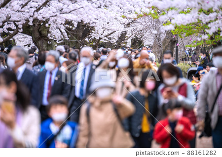 Tokyo cityscape in Japan Chidorigafuchi, where the cherry blossoms are in full bloom and crowded with many cherry blossom viewing visitors, even the elderly ... = March 28 Tokyo cityscape in Japan Chidorigafuchi, where the cherry blossoms are in full bloom and crowded with many cherry blossom viewing visitors, even the elderly ... = March 28 88161282
