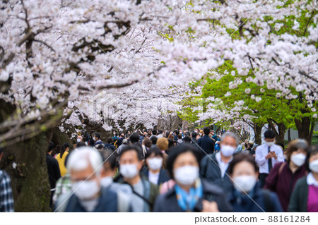 Tokyo cityscape in Japan Chidorigafuchi, where the cherry blossoms are in full bloom and crowded with many cherry blossom viewing visitors, even the elderly ... = March 28 Tokyo cityscape in Japan Chidorigafuchi, where the cherry blossoms are in full bloom and crowded with many cherry blossom viewing visitors, even the elderly ... = March 28 88161284