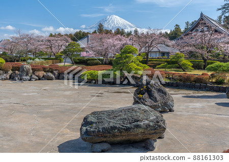 日本庭園櫻花富士山 日本庭園櫻花富士山 88161303