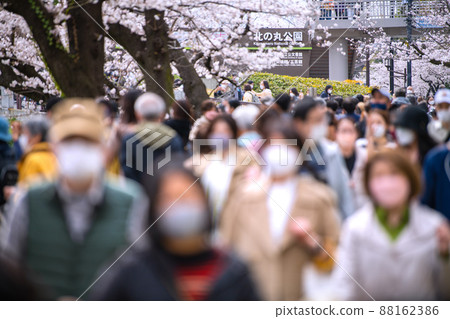 日本東京都市風景 櫻花盛開的北之丸公園前擠滿了許多賞櫻遊客= 3月28日,九段下站 日本東京都市風景 櫻花盛開的北之丸公園前擠滿了許多賞櫻遊客= 3月28日,九段下站 88162386