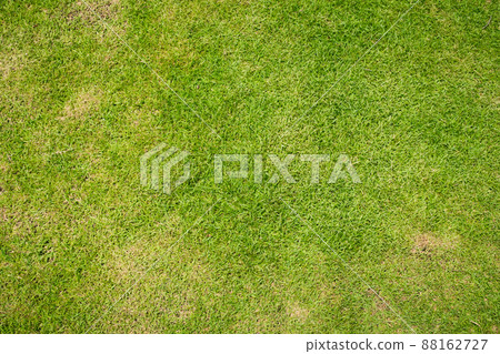 lawn for training football pitch, Grass Golf Courses green lawn pattern textured background, Green grass texture background, Top view of grass garden Ideal concept used for making green flooring. 88162727